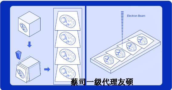 和平蔡司和平扫描电镜