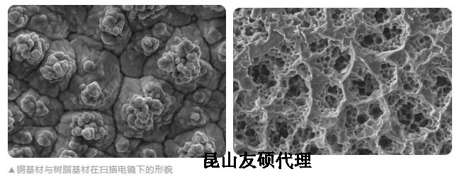 和平蔡司和平扫描电镜